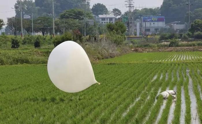 6月10日，韩国仁川的稻田里，一个可能从朝鲜飘来的气球。图/视觉中国