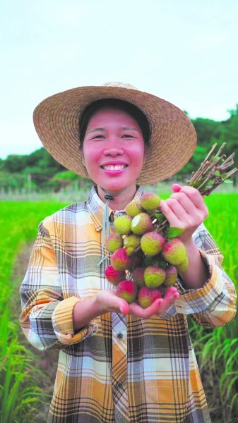     陈丽容在田间地头给茂名荔枝“带货”。受访者供图