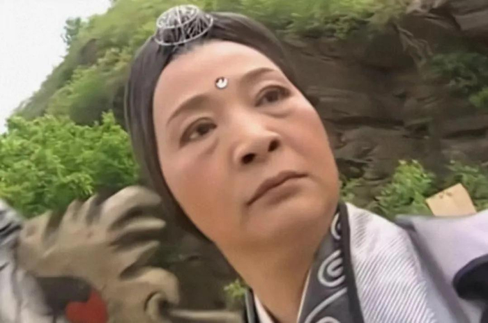 真实的峨眉是一个大派系,涵盖了僧,岳,杜,赵,洪,化,学,字八个拳门
