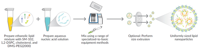 图2 LNP-102 Exploration Kit（35425）制备LNP示意图