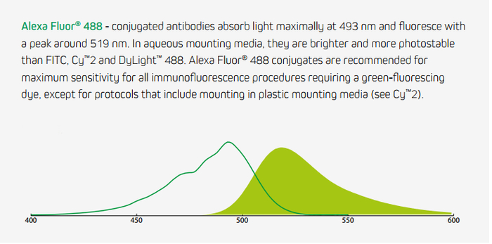 AF488激发光和发射光示例