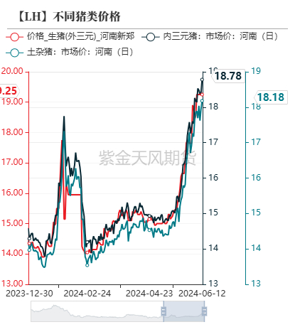 数据来源：我的钢铁、紫金天风期货研究所
