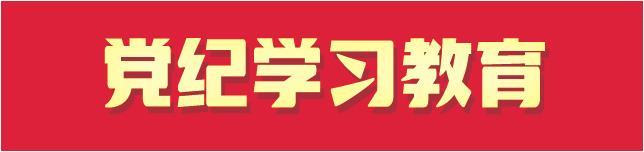 学思践悟知行合一 提升党纪学习教育实效