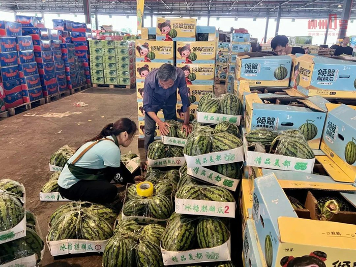 在柳州海吉星市场，市民正在挑选西瓜。