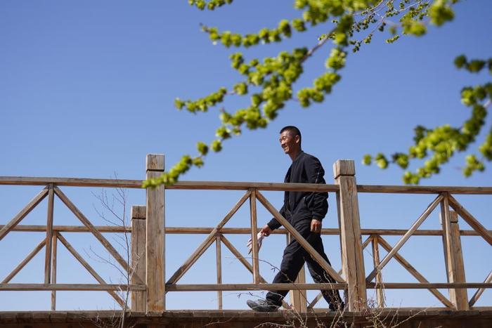  在古浪县八步沙林场眼窝子沙治沙点，郭玺察看树木生长情况（2024年4月10日）。新华社记者 马希平 摄