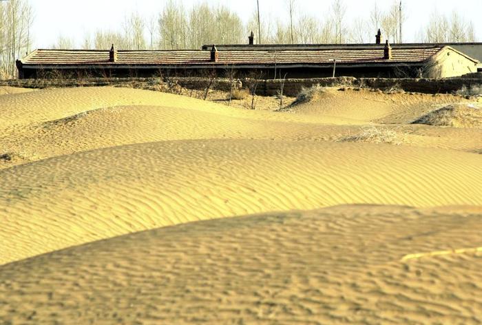 这是古浪县黄花乡麻黄台村，连绵起伏的沙丘已经和一处民居的后墙持平（2002年3月21日发）。新华社记者 韩传号 摄