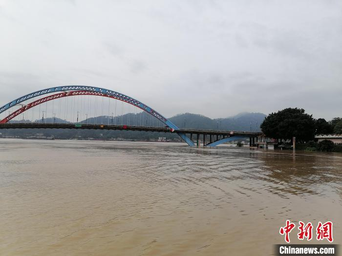 洪水淹没梧州鸳江大桥部分桥墩。宋长旺 摄