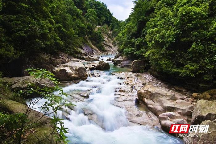 九龙江国家森林公园是一处集生态、茶旅、康养、民宿、科普于一体的国家4A级森林公园景区。