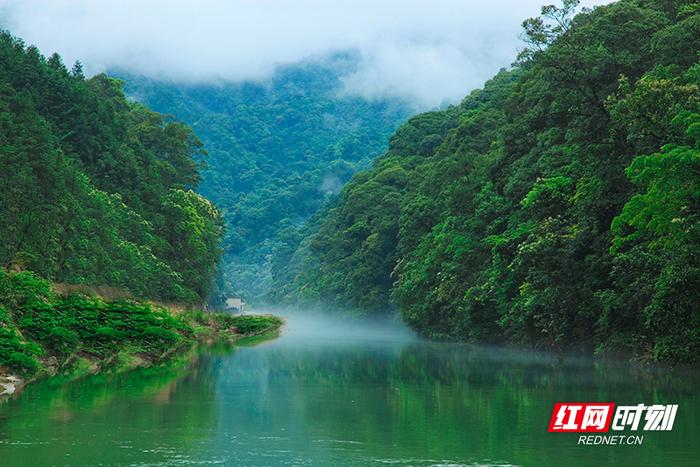 九龙江国家森林公园山水成诗，风景如画。