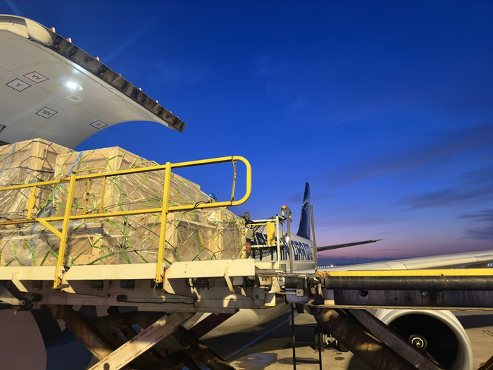 6月16日凌晨，文物包机抵达上海。（王九天 摄）