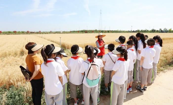 劳动实验基地的老师为学生们普及小麦生长过程（本文图片由澄城县城关第二小学提供）