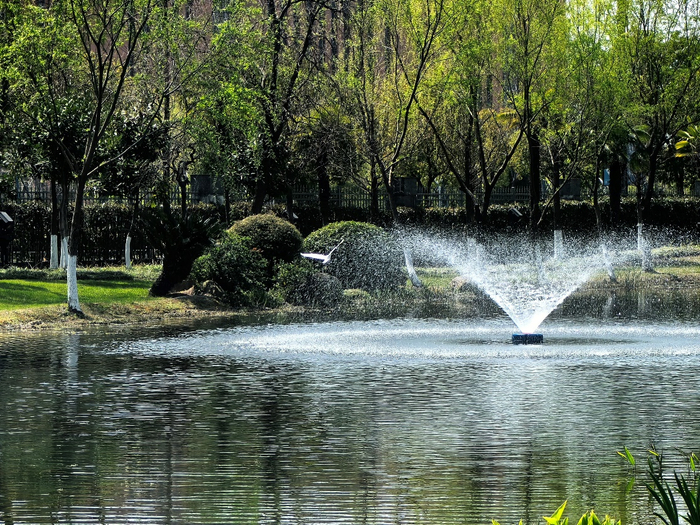 （图为宁波卷烟厂区内水池  张淑岚／摄）