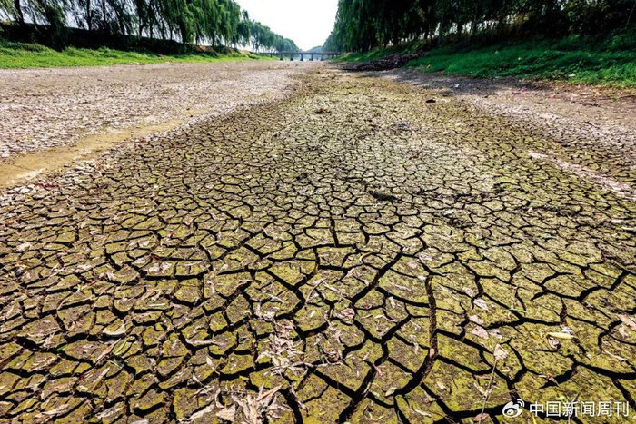 6月15日，河南安阳市滑县，金堤河部分河段河水断流，河床裸露，河底龟裂。图/新华