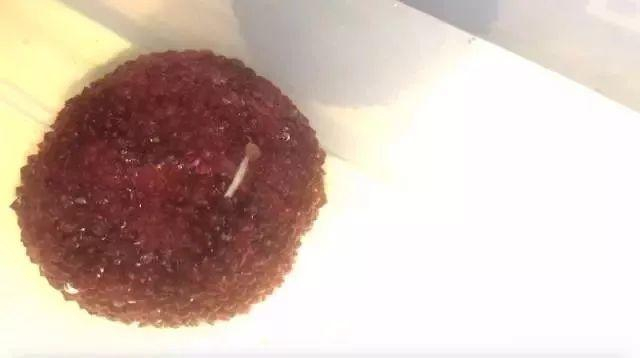 ▲泡在清水里的杨梅