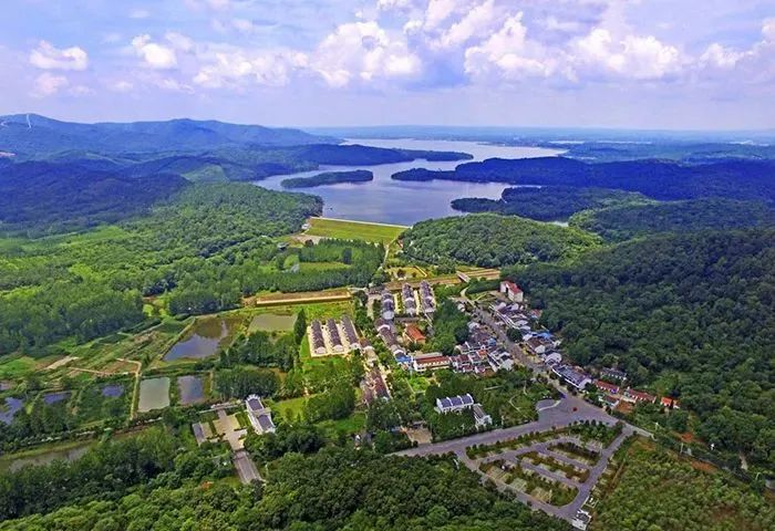 　　航拍的安徽省全椒县石沛镇黄栗树村。沈果摄