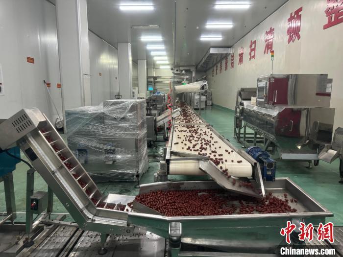 近日，红枣加工龙头企业“好想你”自动化生产线正在运转。　中新社记者 阚力 摄