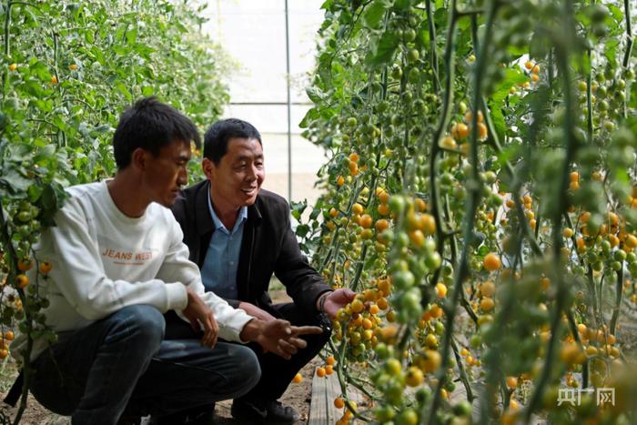 孟德利向种植户传授蔬菜种植技术（央广网记者 唐磊 摄）