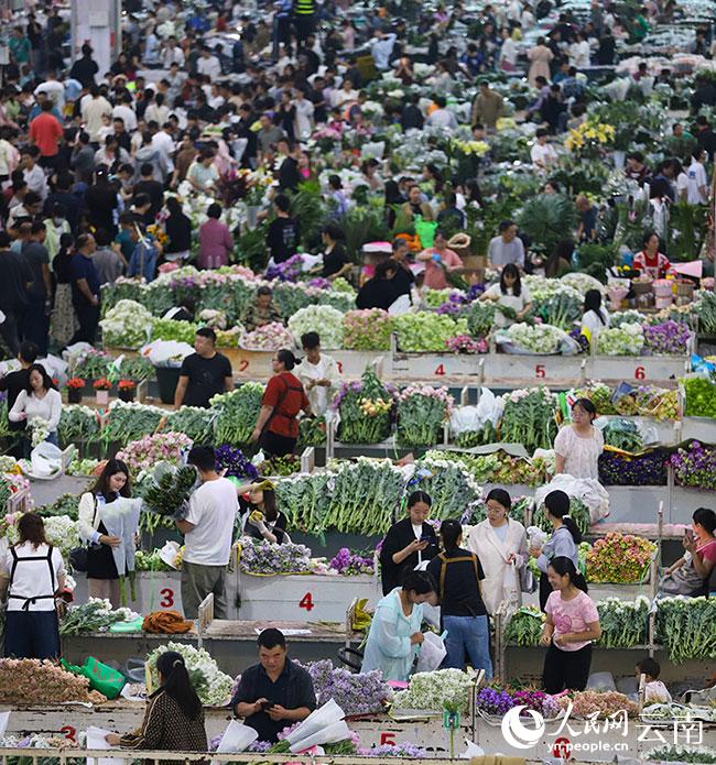 昆明斗南花卉市场内人潮涌动，前来选购鲜花的市民和游客络绎不绝。人民网记者 李发兴摄