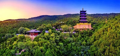 绿树掩映中的太山博物馆。太山博物馆供图