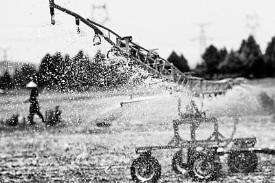 6月18日，山东省枣庄市西王庄镇东王庄村农民利用智能喷灌机浇水造墒。新华社发