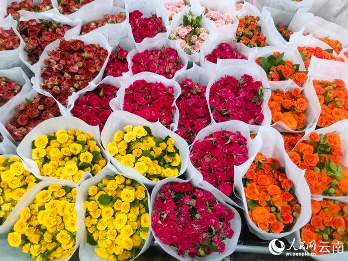 市场内正在销售的鲜花。人民网记者 黄玉琦摄