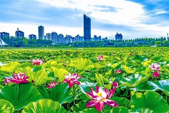 来源：河南环境