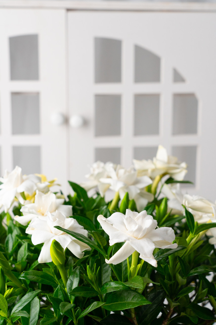 图片来源：图虫创意