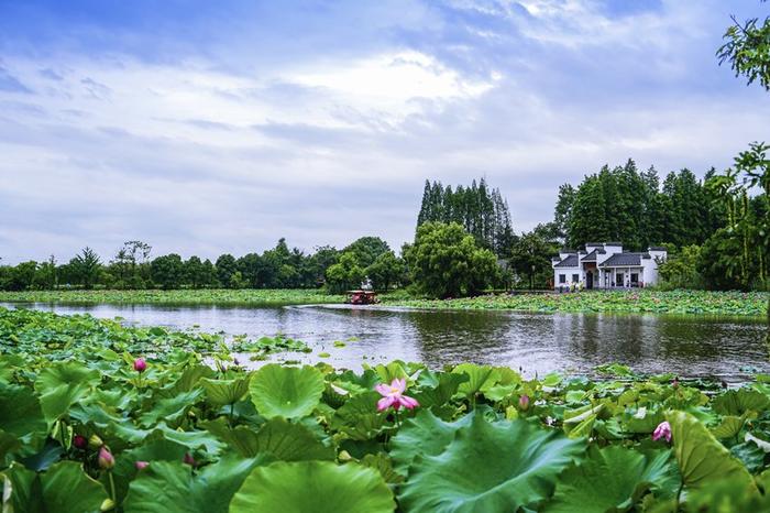 芜湖市陶辛水韵景区图片