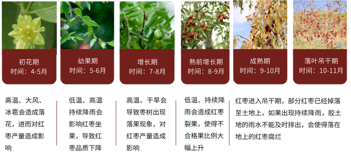 数据来源：郑商所，大地期货研究院