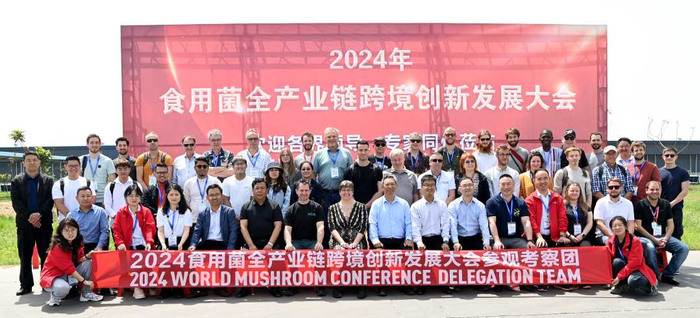 今年4月在孟州举办的食用菌全产业链跨境创新发展大会　。杜海珠摄
