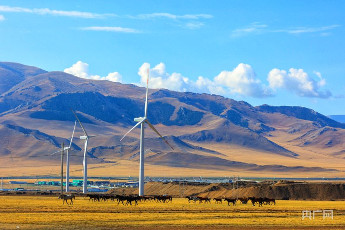国能新疆新能源公司三台风电场 (国家能源集团新疆能源有限责任公司供