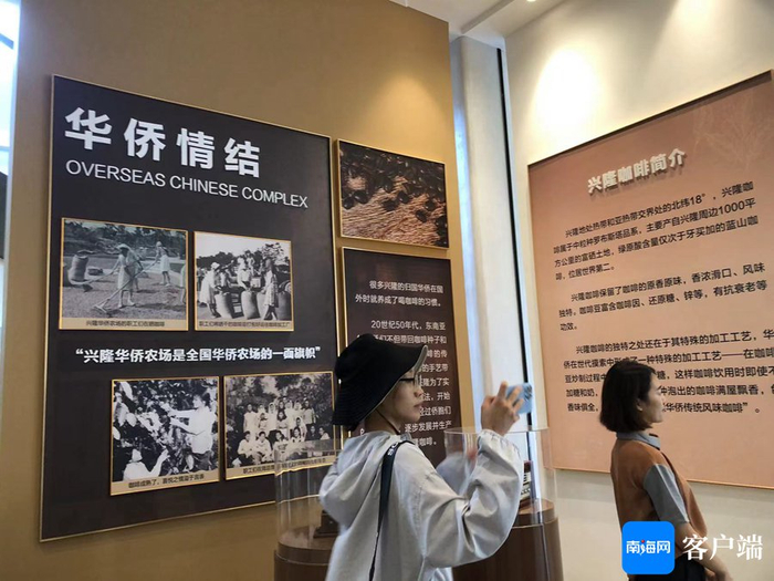 游客在兴隆参观咖啡馆。记者 苏桂除 摄