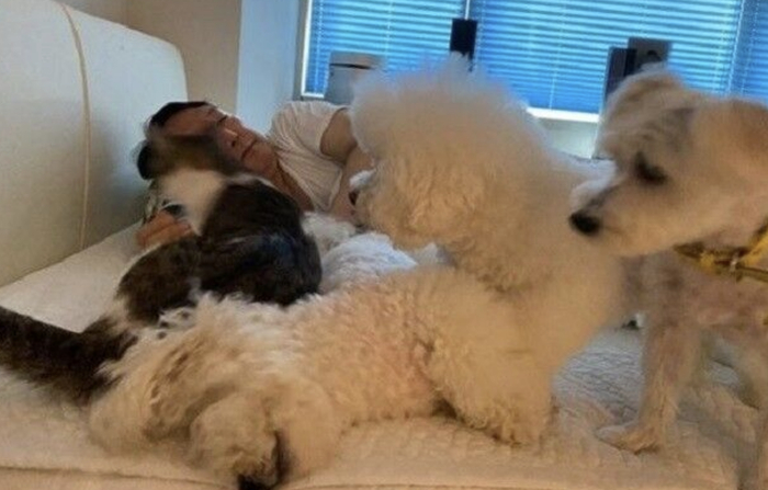 尹锡悦和自己的宠物狗们。（图源：尹锡悦个人竞选网站）