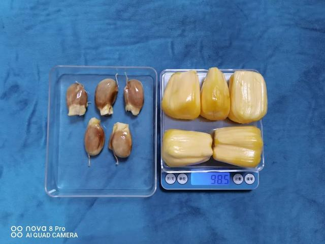 图：100 克去核菠萝蜜约 5 个