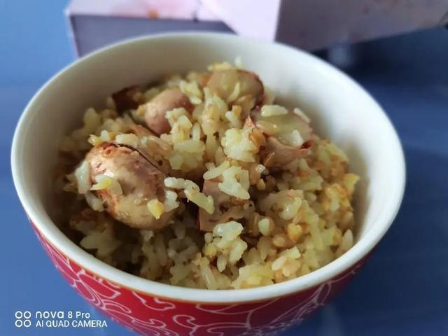 图：菠萝蜜核饭（没去皮，吃起来有点麻烦） 自己拍的