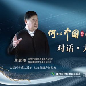 “大运河申遗十年：文化遗产的活化之路” 大运河 单霁翔 文化遗产 文化 遗产 世界文化遗产 传承 大运河申遗 国家文物局 时代 sina.cn 第2张