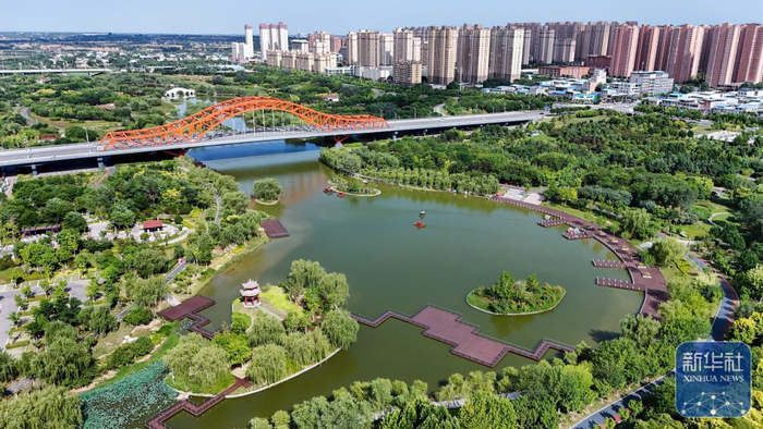↑陕西省富平县温泉河湿地公园景色（6月21日摄，无人机照片）。新华社记者 邹竞一 摄
