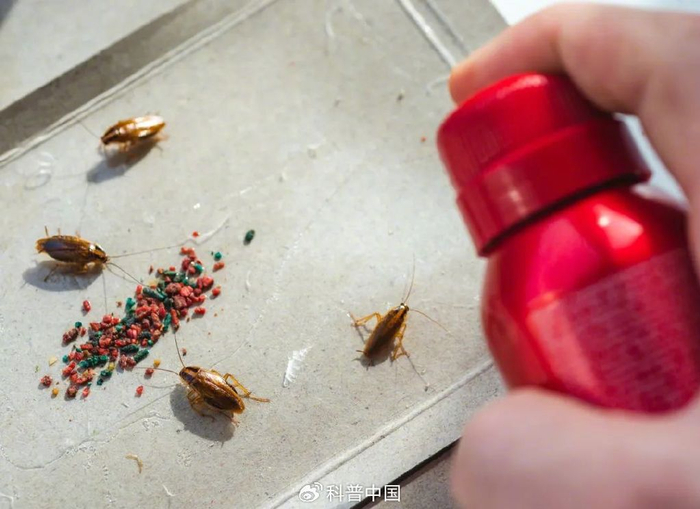 图库版权图片，转载使用可能引发版权纠纷