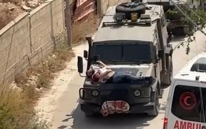 以军绑伤巴人吉普带走视频回应 巴勒斯坦 受伤 吉普车 加沙地带 引擎盖 巴以辩论 以色列 双引号 交际媒体 军规 sina.cn 第4张