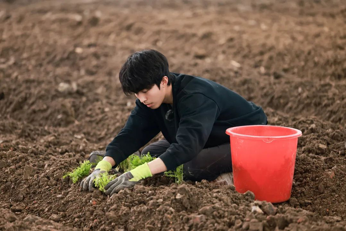 田间的少年。《种地吧》节目组供图