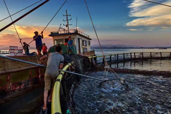 收获瞬间。图片来源受访者