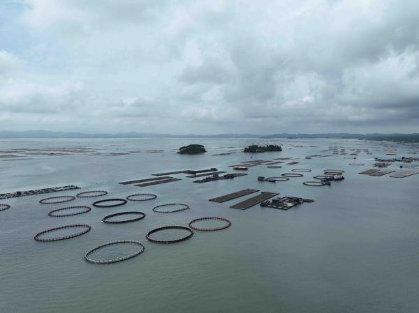 从空中俯瞰白龙珍珠湾海域。孔锡成/摄