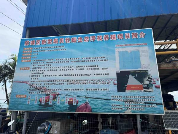 牡蛎养殖介绍。龚旭琪/摄