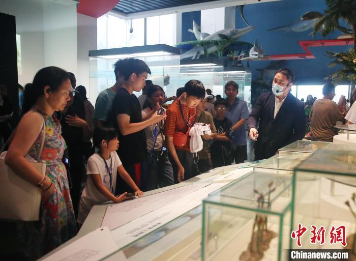 图为美国华裔青少年参观云南省博物馆。黄兴鸿 摄
