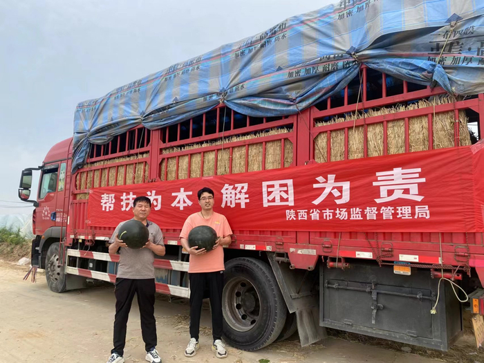 陕西省市场监管局帮扶蒲城县瓜农缓解滞销困境。