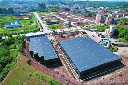 蓬溪县蓬南镇与中药有关的产业园。受访者供图