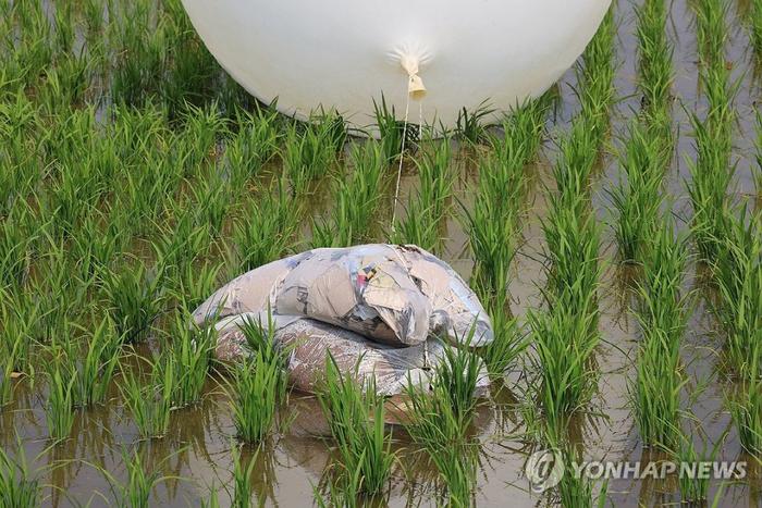 6月10日,朝鲜向韩国投放的“垃圾气球”落入仁川市江华郡一农田。(资料图)图源:韩联社