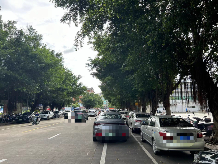 海口市妇幼保健院附近路段的划线车位限停标牌被树叶遮挡。记者 袁玉龙 摄