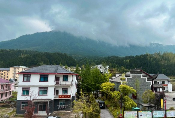靖安县中源乡一栋栋别致的小民宿。　记者　陈春园　摄