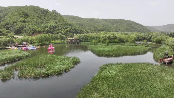 “红色延安，绿色发展新篇章” 南泥湾 延安 水土保持 苹果 淤地坝 收入 村民 农民 王林 宝塔区 sina.cn 第5张